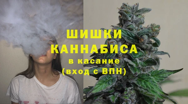 кокс Арсеньев