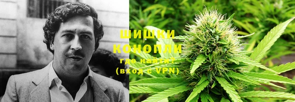 ГАЛЛЮЦИНОГЕННЫЕ ГРИБЫ Беслан